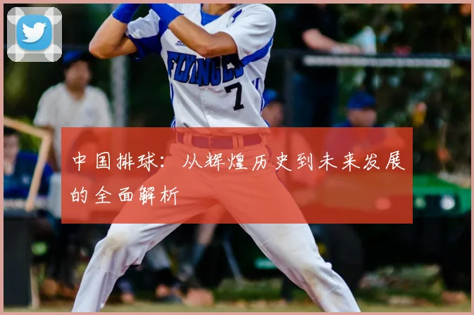 中国排球:从辉煌历史到未来发展的全面解析