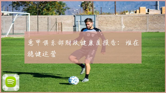 意甲俱乐部财政健康度报告：谁在稳健运营