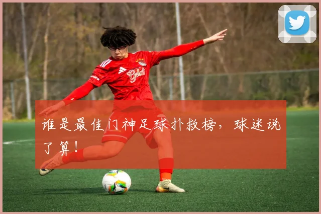 谁是最佳门神足球扑救榜，球迷说了算！