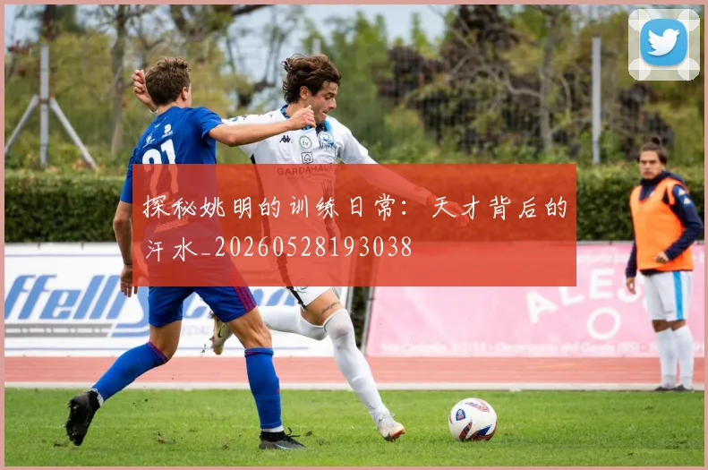 探秘姚明的训练日常：天才背后的汗水_20260528193038
